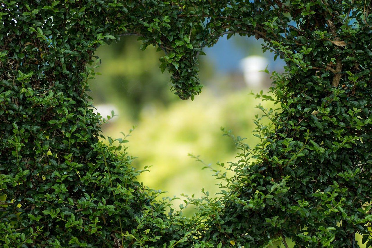 My Green Heart