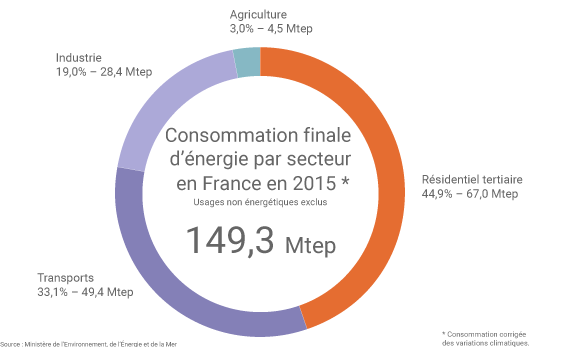 consommation finale par énergie