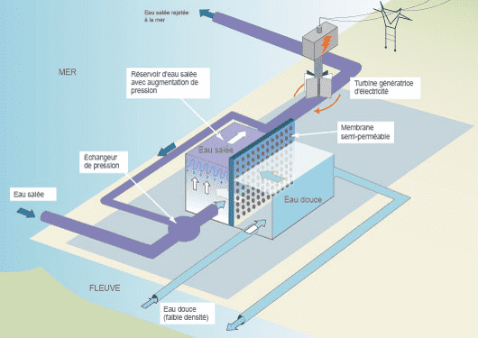 L'énergie osmotique