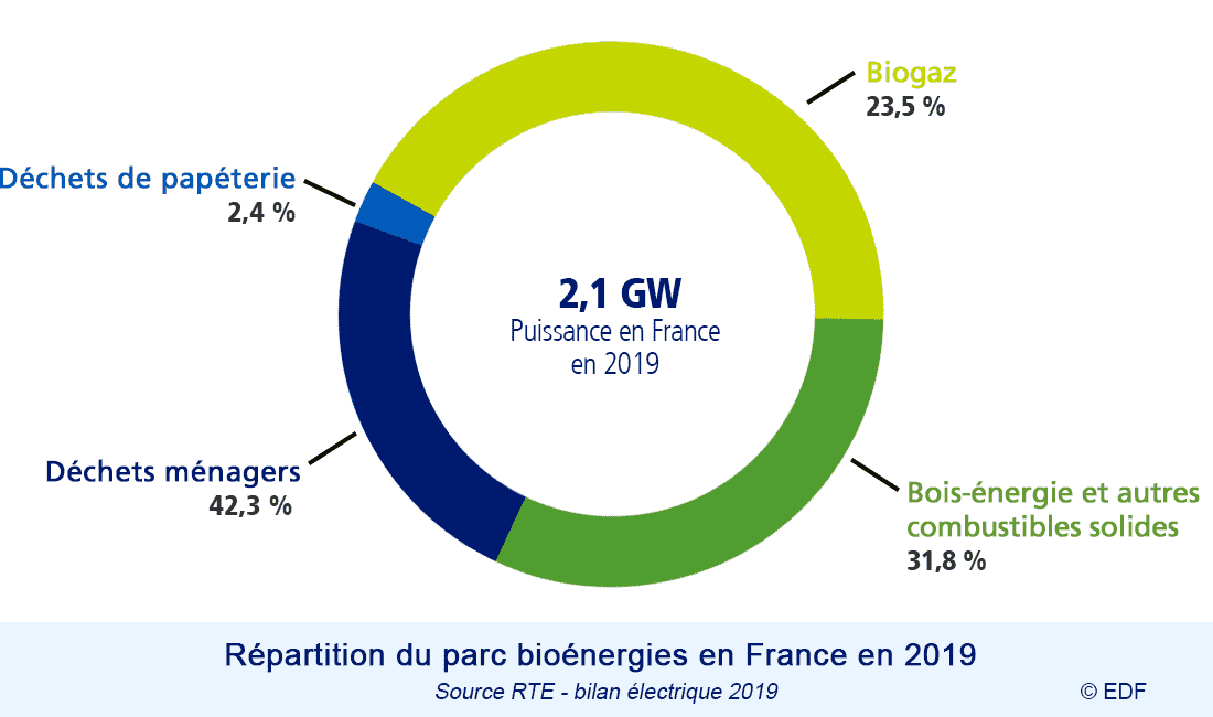 Les bioénergies