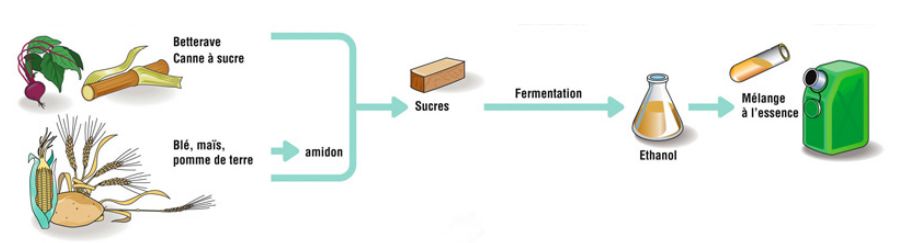 schéma biogazole