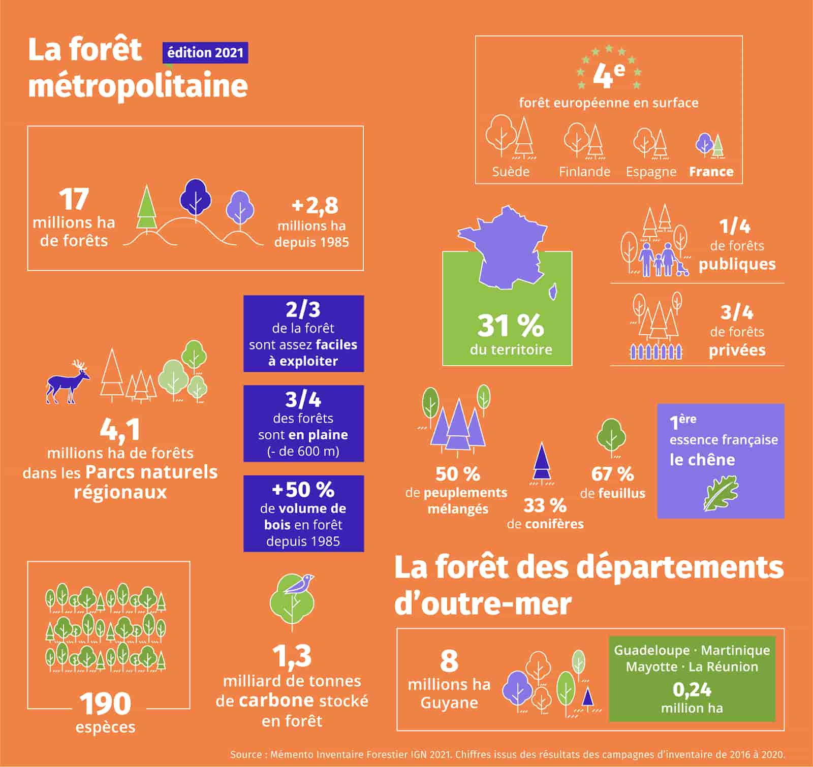 infographie forêt métropolitaine