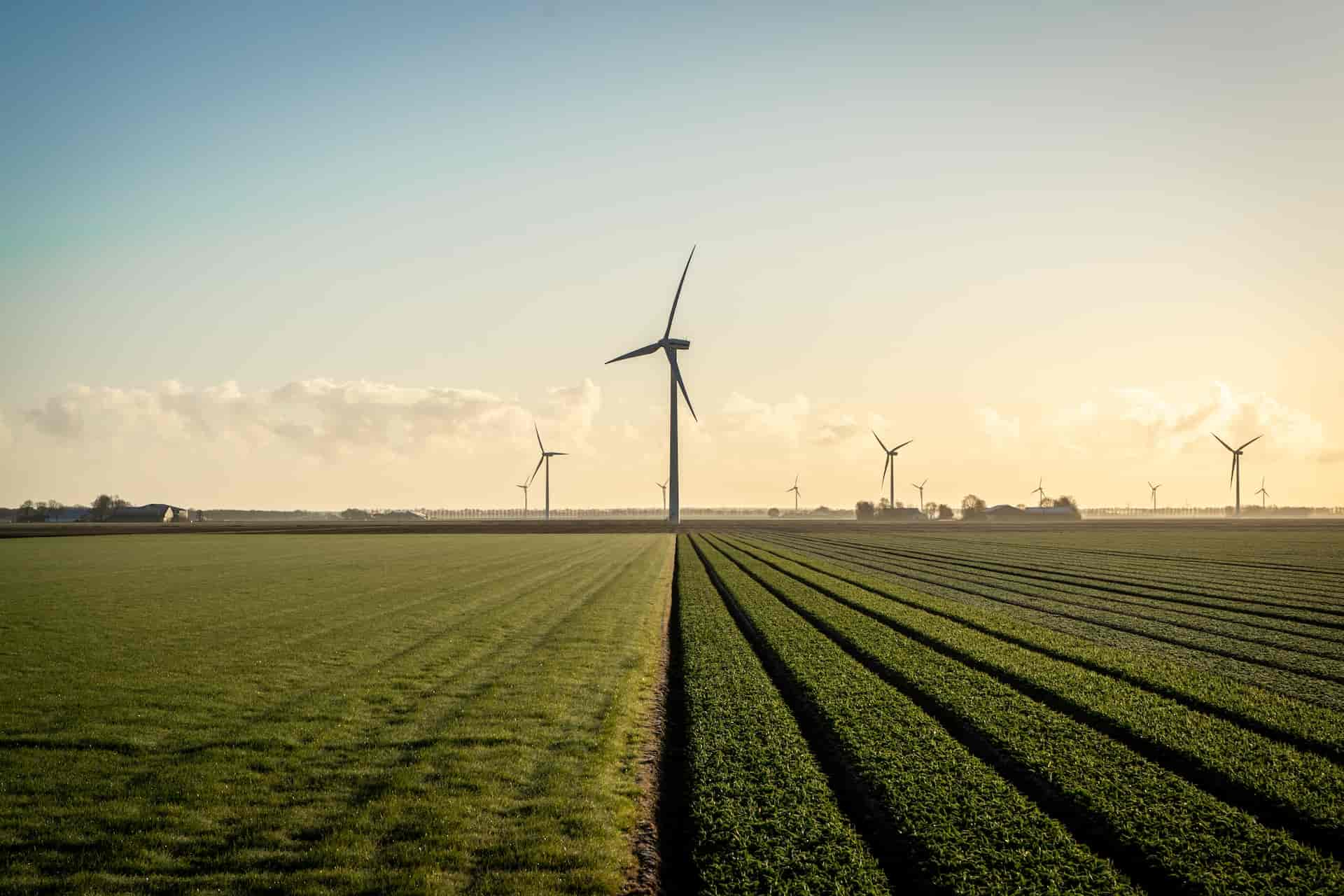 éolienne dans un champs