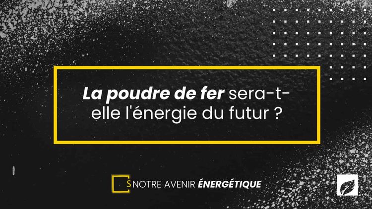 Les algues : le futur de l'énergie et des technologies environnementales ?